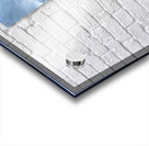 Palmer Acrylic print