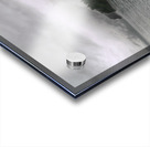 Seward Acrylic print