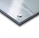 Yellow Jacket Acrylic print