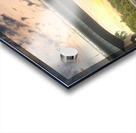 American Eagle Acrylic print