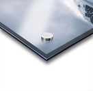 Harding Icefield Acrylic print