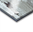 Solo Fisherman Acrylic print