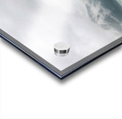 Sea Dreams Acrylic print