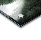 Take The Trail Acrylic print