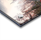 Winter Wonderland Acrylic print