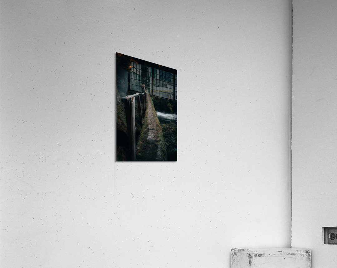 PNW Wonderland Acrylic Print