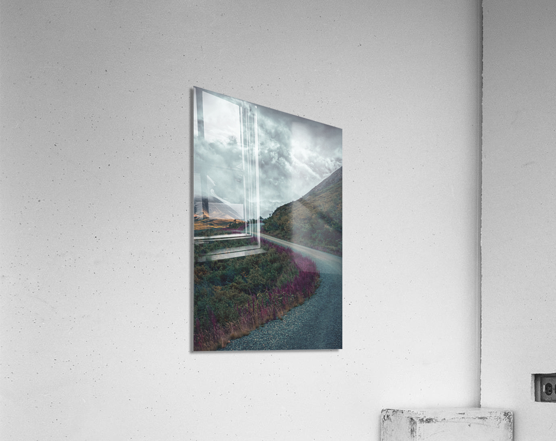 Wildflower Acrylic Print