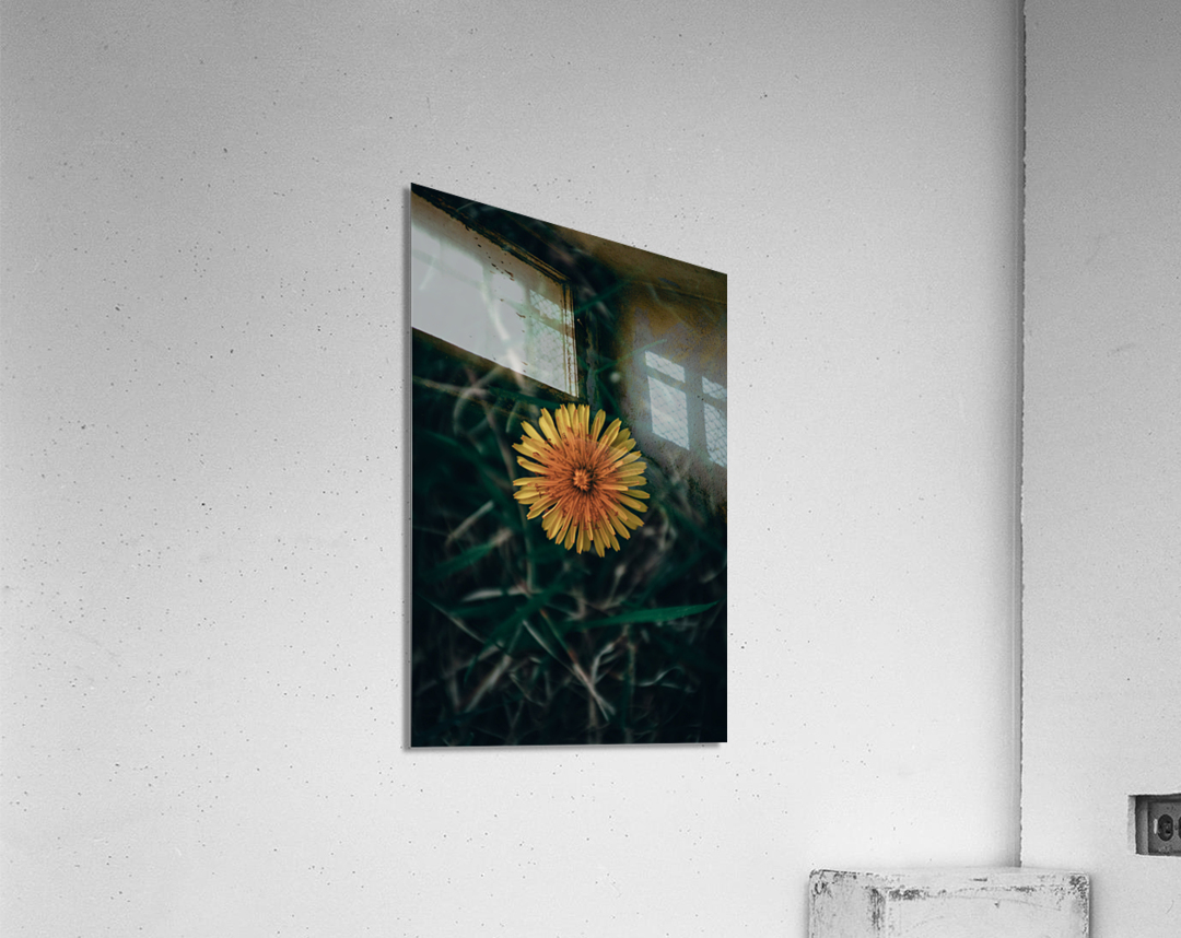 Feeling Dandy Acrylic Print