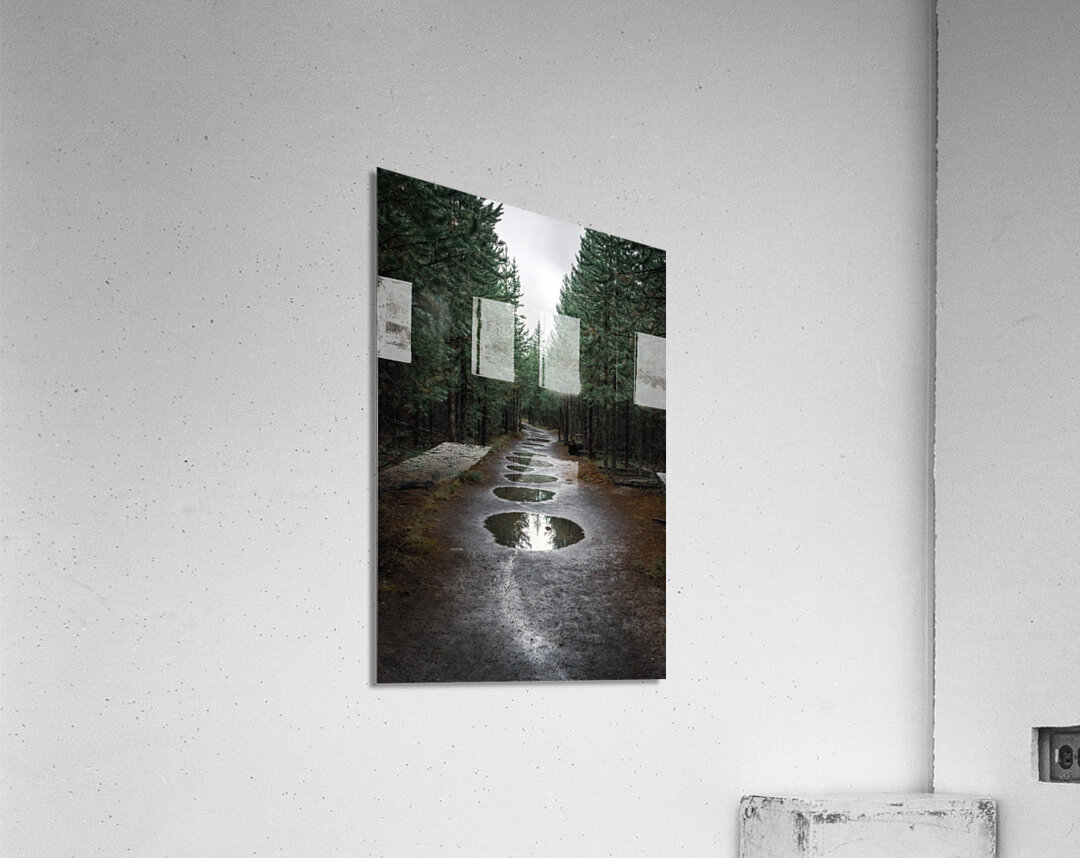 Take The Trail Acrylic Print