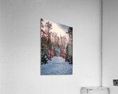 Winter Wonderland  Acrylic Print
