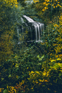 Cascade Falls