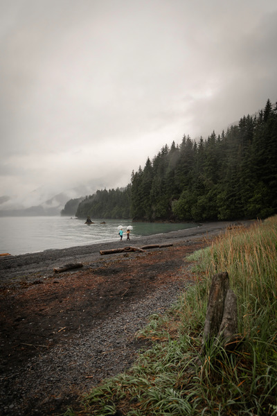 Alaskan Mist Digital Download