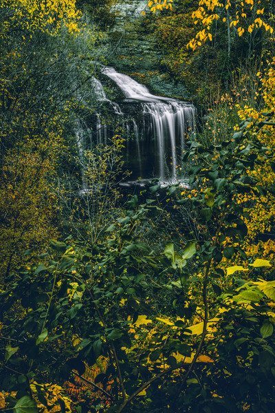Cascade Falls Digital Download