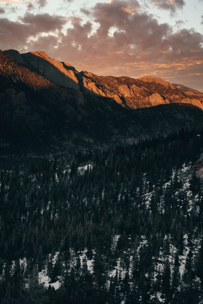 Feeling Golden Digital Download