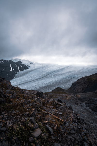Harding Icefield Digital Download