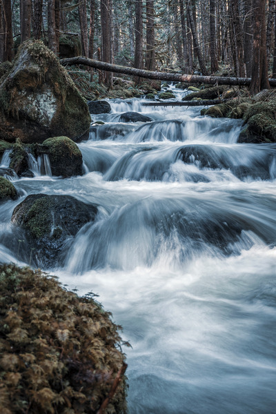 Olympic Digital Download