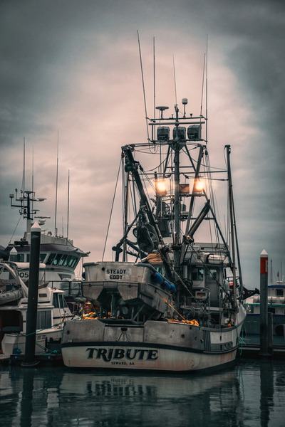 Steady Eddy Digital Download