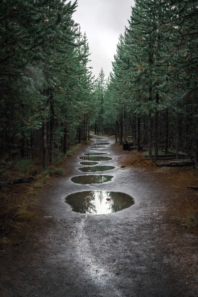 Take The Trail Print