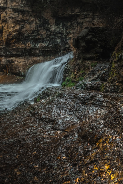 Willow Falls Digital Download