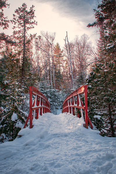 Winter Wonderland Digital Download