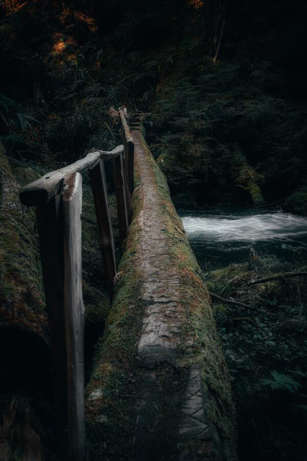 PNW Wonderland Digital Download