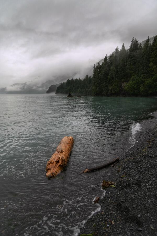 Seward Digital Download