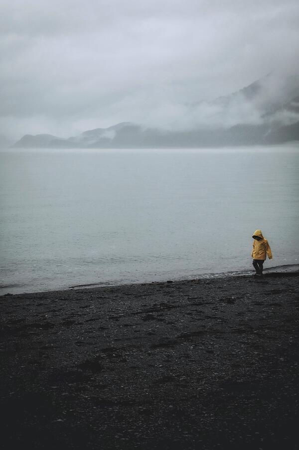 Yellow Jacket Digital Download