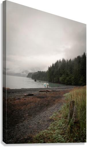 Alaskan Mist  Canvas Print