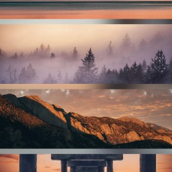 Something In The Orange