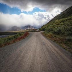 Denali Park Road
