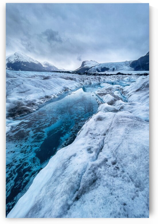 Palmer by Wildridge Photography