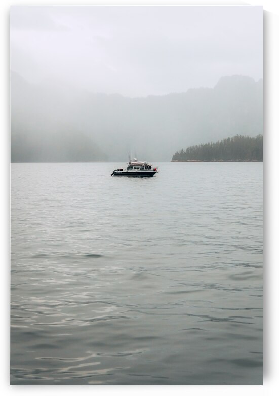 King Fisher by Wildridge Photography