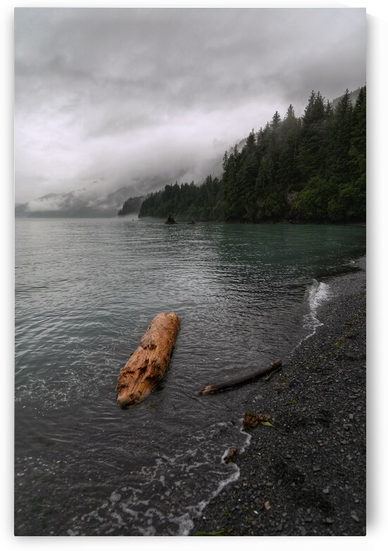 Seward by Wildridge Photography