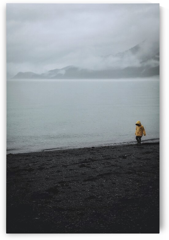 Yellow Jacket by Wildridge Photography