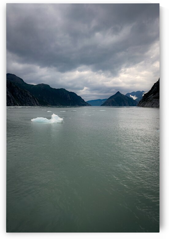 Gulf of Alaska by Wildridge Photography