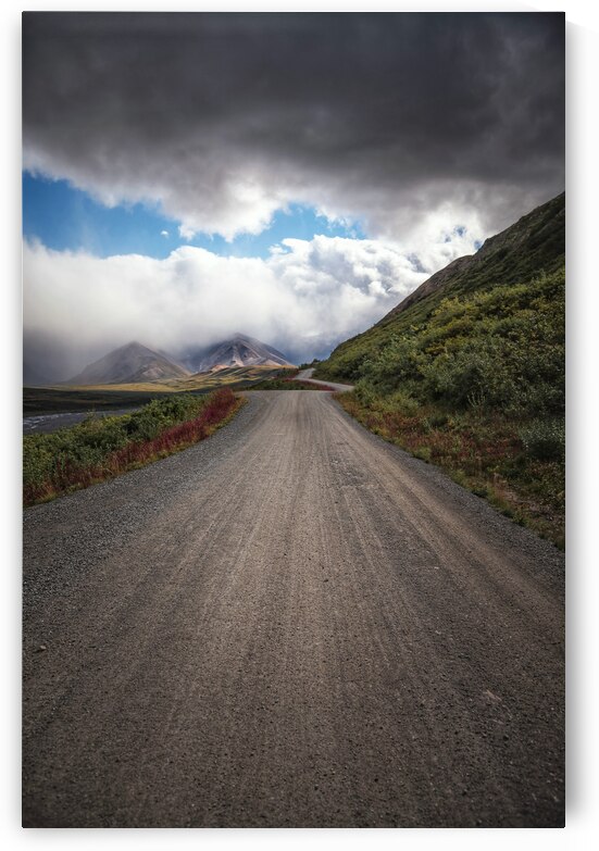 Denali Park Road by Wildridge Photography