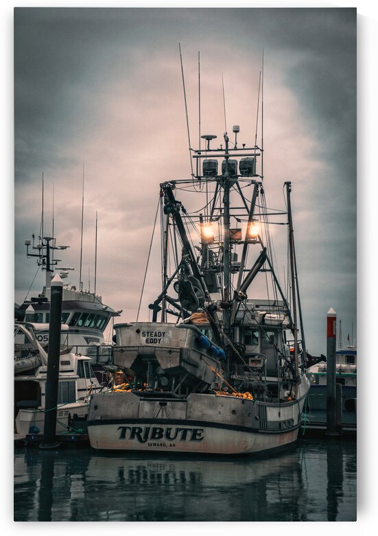 Steady Eddy by Wildridge Photography