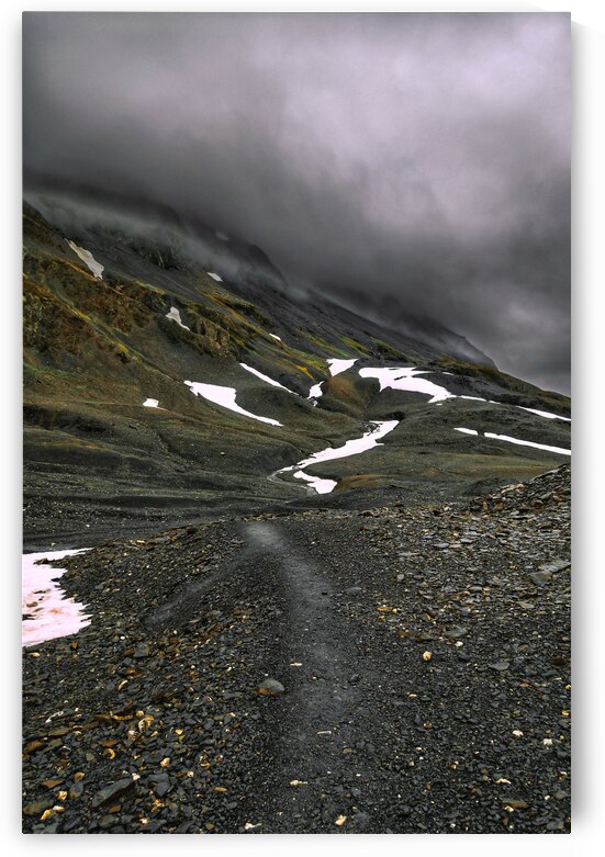 Harding Icefield Trail by Wildridge Photography