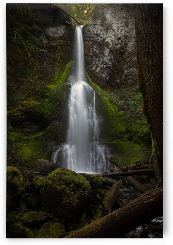 Marymere Falls by Wildridge Photography