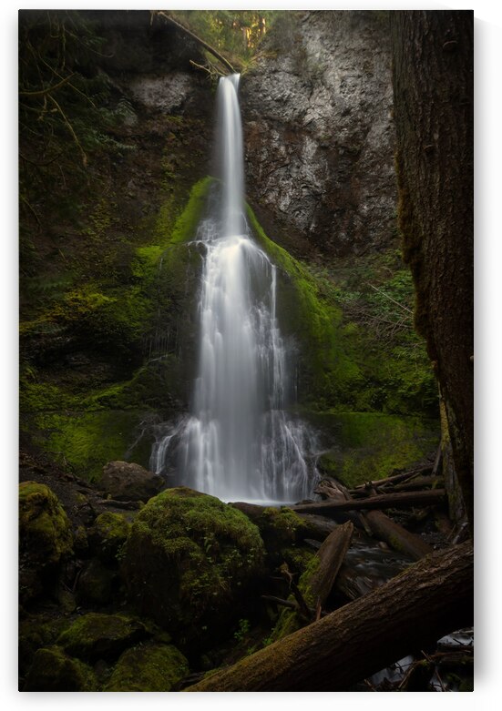 Marymere Falls by Wildridge Photography