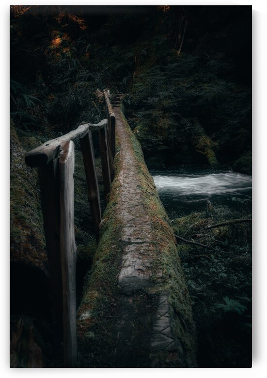 PNW Wonderland by Wildridge Photography