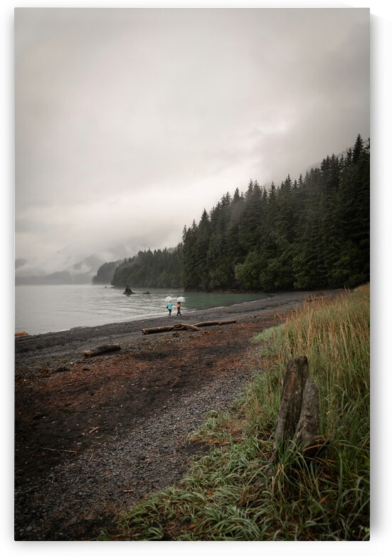 Alaskan Mist by Wildridge Photography