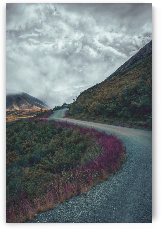 Wildflower by Wildridge Photography