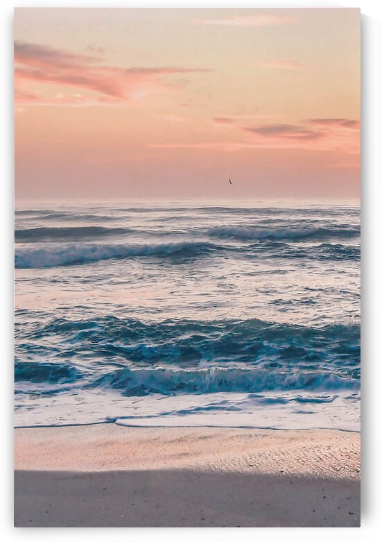 Florida Sunrise by Wildridge Photography