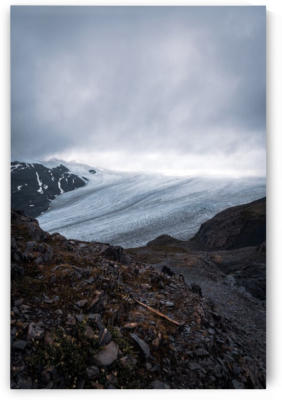 Harding Icefield by Wildridge Photography