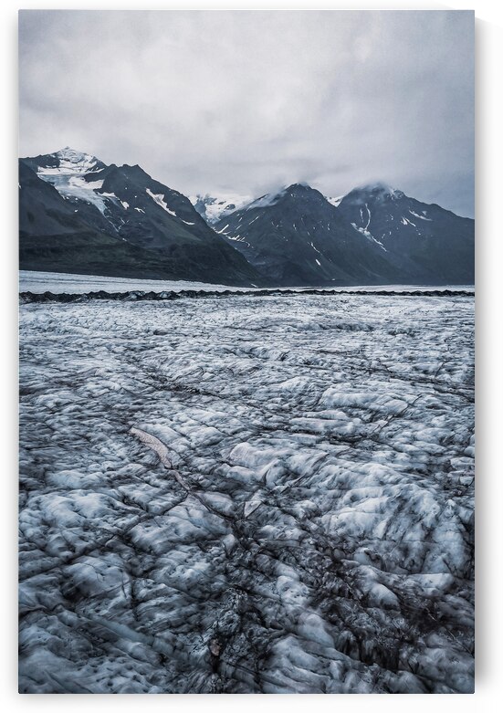 Ice Age by Wildridge Photography