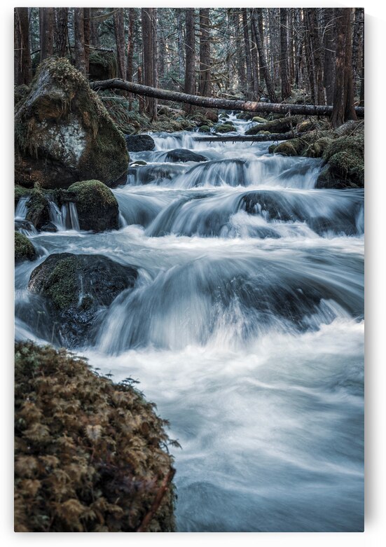 Olympic by Wildridge Photography