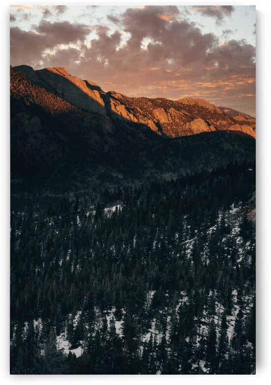 Feeling Golden by Wildridge Photography