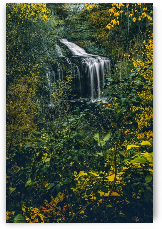 Cascade Falls by Wildridge Photography