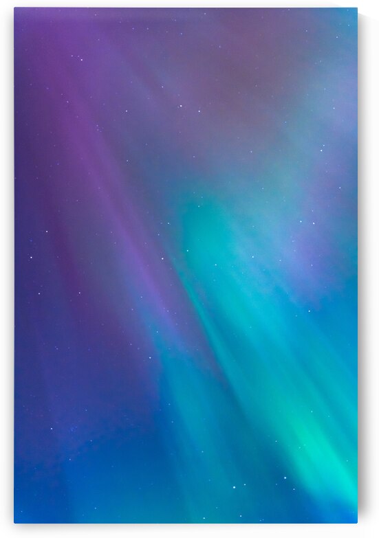 Lady Aurora by Wildridge Photography